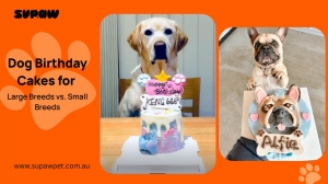 Dog Birthday Cakes for Large Breeds vs. Small Breeds