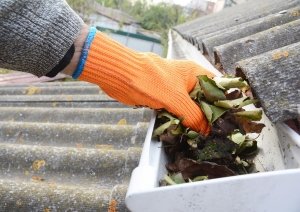 Gutter Cleaning Geelong: Your Home’s First Line of Defense