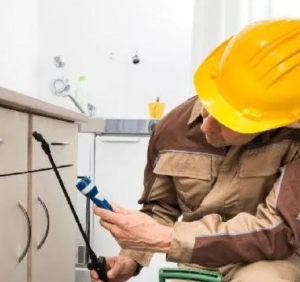 Keeping Your Home Safe with Envirosafe Pest Control