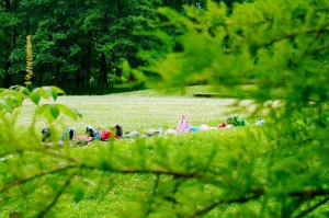 What Role Do Urban Green Spaces Play in Biodiversity?