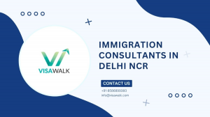 Immigration Consultants in Delhi NCR: Your Gateway to a Global Future