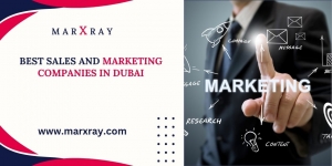 Best Sales and Marketing Companies in Dubai