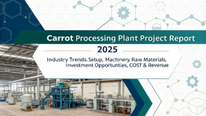 Carrot Processing Plant Setup & Production Process Report
