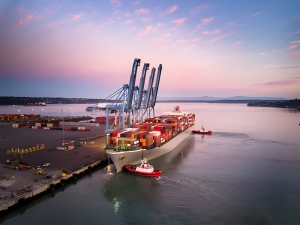 Reliable Car Shipping from Germany to UAE – Reef Shipping