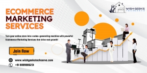 Ecommerce Marketing Services 