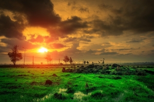 Micro-Adventures: How Short Daily Escapes Boost Mood and Productivity