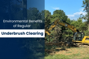What Are the Key Environmental Benefits of Clearing Underbrush Regularly?