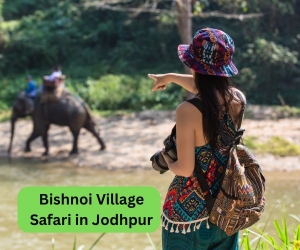 Exploring Bishnoi Village: A Cultural Safari Through Rural Rajasthan
