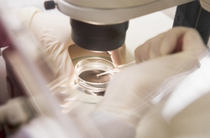Fertility Treatments in Lahore: A Comprehensive Guide for Aspiring Parents