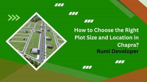 How to Choose the Right Plot Size and Location in Chapra?
