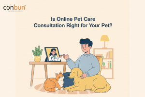 Is Online Pet Care Consultation Right for Your Pet?