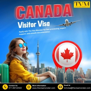 Boost Efficiency with The Visa Monster's Online Visa BookingSystem