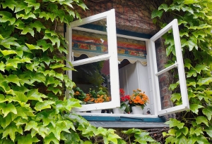 Kunststoff Fenster für Neubau und Renovierung – langlebig & modern