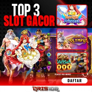 The Ultimate Beginner’s Guide to qris108