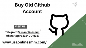 Understanding the Process of Purchasing Used GitHub Accounts