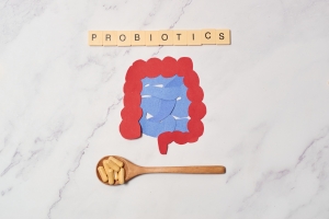 Understanding Akkermansia: The Revolutionary Probiotic Transforming Digestive Health