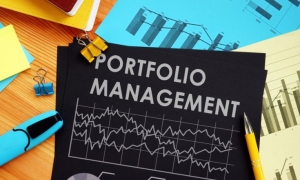Grow, Diversify, and Secure Your Wealth with Professional Portfolio Management Services