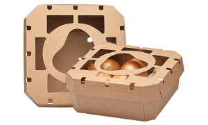 Hybrid Packaging Market Size, Forecast, Share 2025