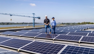 How Can You Make the Most of Solar in Wagga?