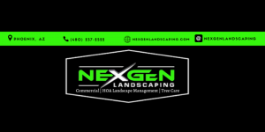 Transforming Phoenix Businesses with Professional Commercial Landscaping Services  