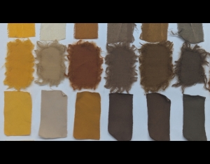 Sustainable Fabric Dyeing: A Greener Future for the Textile Industry