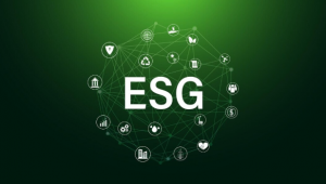 Key Features to Look for When Choosing Compliance Software