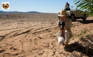 Step into Tradition: A Village Safari Experience in Bishnoi, Rajasthan