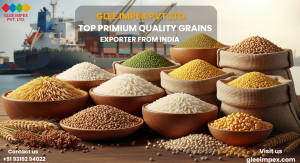 Glee Impex Pvt Ltd: India’s Trusted Partner in Global Grain Export
