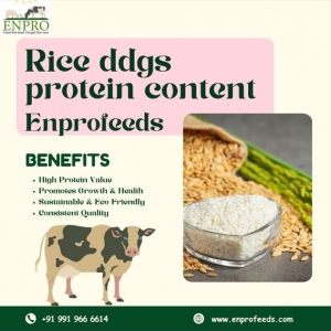 What is the protein content in Rice DDGS, and how does Enprofeeds ensure its quality?