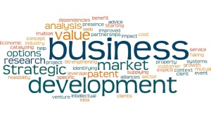 Mastering Sales and Business Development