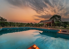 Safari and Serenity: Discover the Magic of Ranthambore Resorts