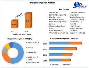 Which Companies Are Shaping the Future of the Maleic Anhydride Market?