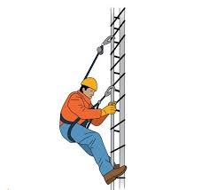 Product Fall Protection Systems Market Trends Driving Global Industrial Safety Awareness and Risk Mitigation Solutions