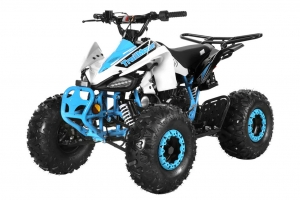 Buying 4-wheelers ATVs