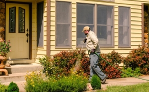 Protecting Your Home: Essential Residential Pest Control Strategies in Melbourne
