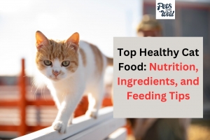 Top Healthy Cat Food: Nutrition, Ingredients, and Feeding Tips