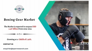 Boxing Gear Market Size, Trends Growth By 2034