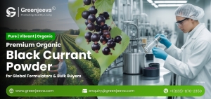 Organic Black Currant Powder: A Vibrant Ingredient Redefining Modern Formulations