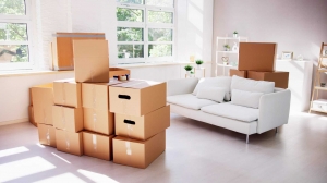 Why Hiring Professional Furniture Movers in Ajman Saves You Time, Money, and Effort