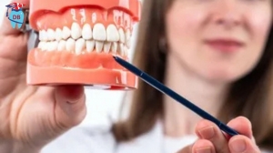 Why Students in Canada Prefer AFK Online Coaching Programs