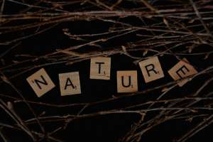Natural Health Products: What To Know Before You Buy