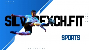 Silverexch: Safely Elevating Cricket Engagement in India