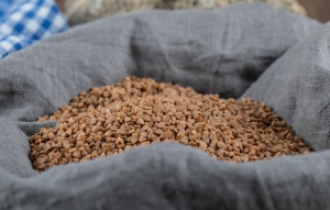 Europe Feed Premix Market Growth Drivers and Future Prospects Report 2025 