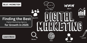 Best Digital Marketing Agency for Growth in 2025 | Affordable Experts | Blue Monkfish