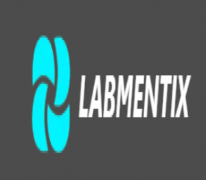 Why a Business Analyst Internship Is the Best Way to Start Your Analytics Career