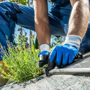 The Connection Between Smart Irrigation and Long-Lasting Landscaping Near Me