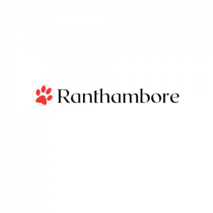Tiger Safari Ranthambore: Embark on Rajasthan’s Wild Adventure