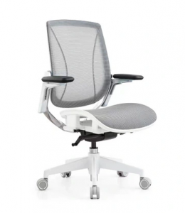 Ergonomic Chair1