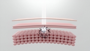 Myths and Facts About Pigmentation