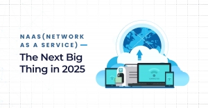 NaaS (Network as a Service): The Next Big Thing